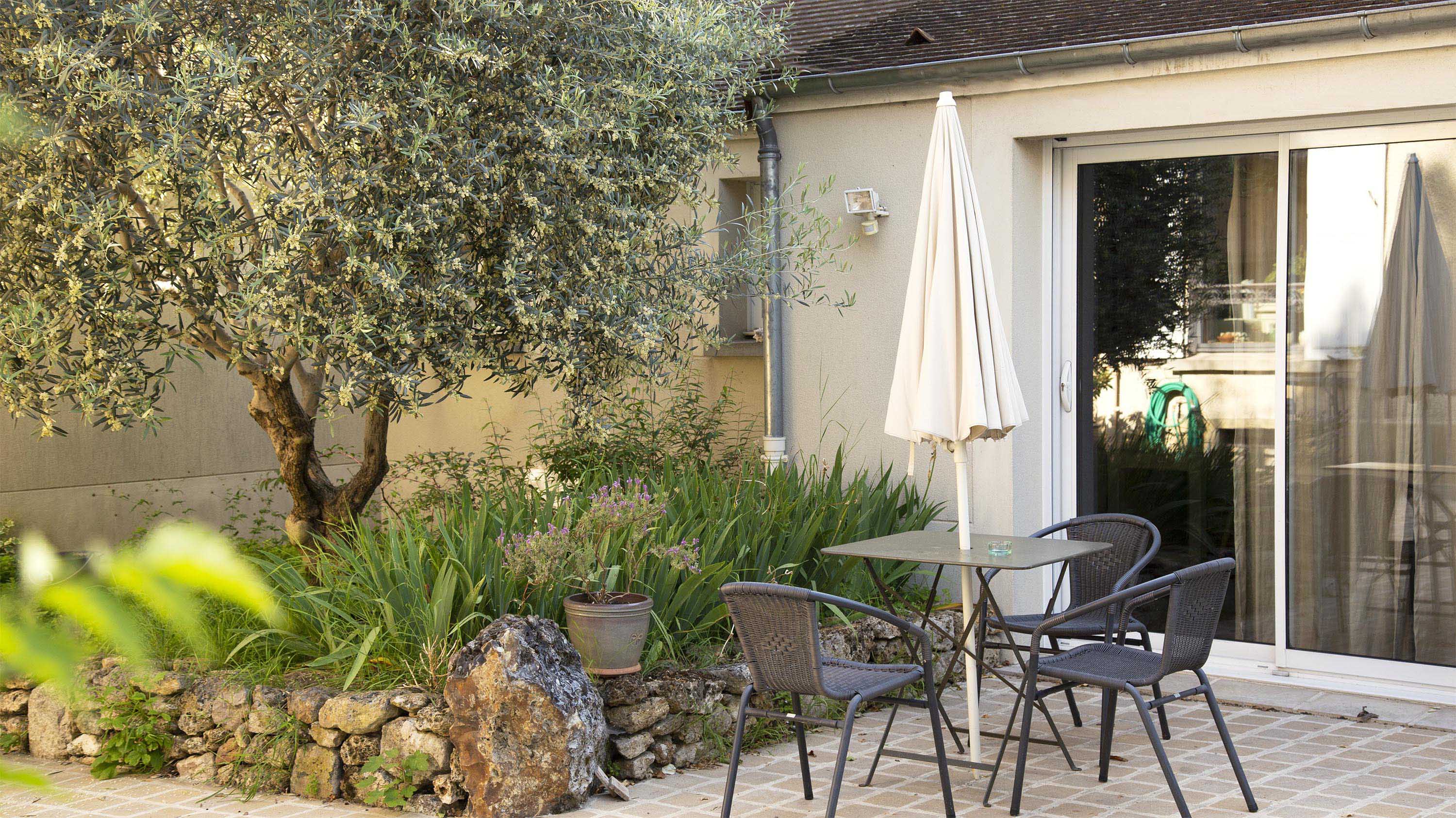 Terrasse et olivier